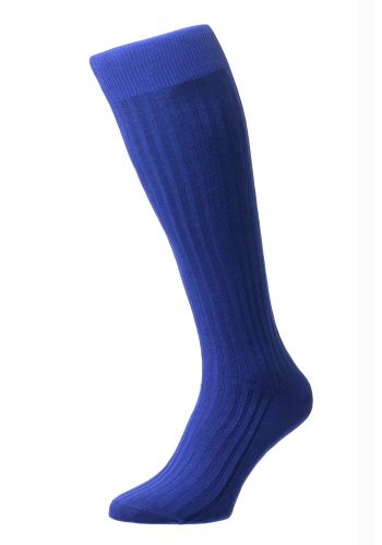 Danvers (Long) - Ultramarine Fil d'Ecosse / Cotton Lisle 5x3 Rib Men's Socks (Over the Calf) -  Small                       