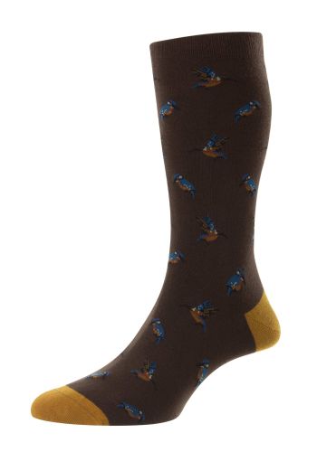 Halcyon - Kingfisher Motif  Chocolate Organic Cotton Men&#039;s Sock -  Medium